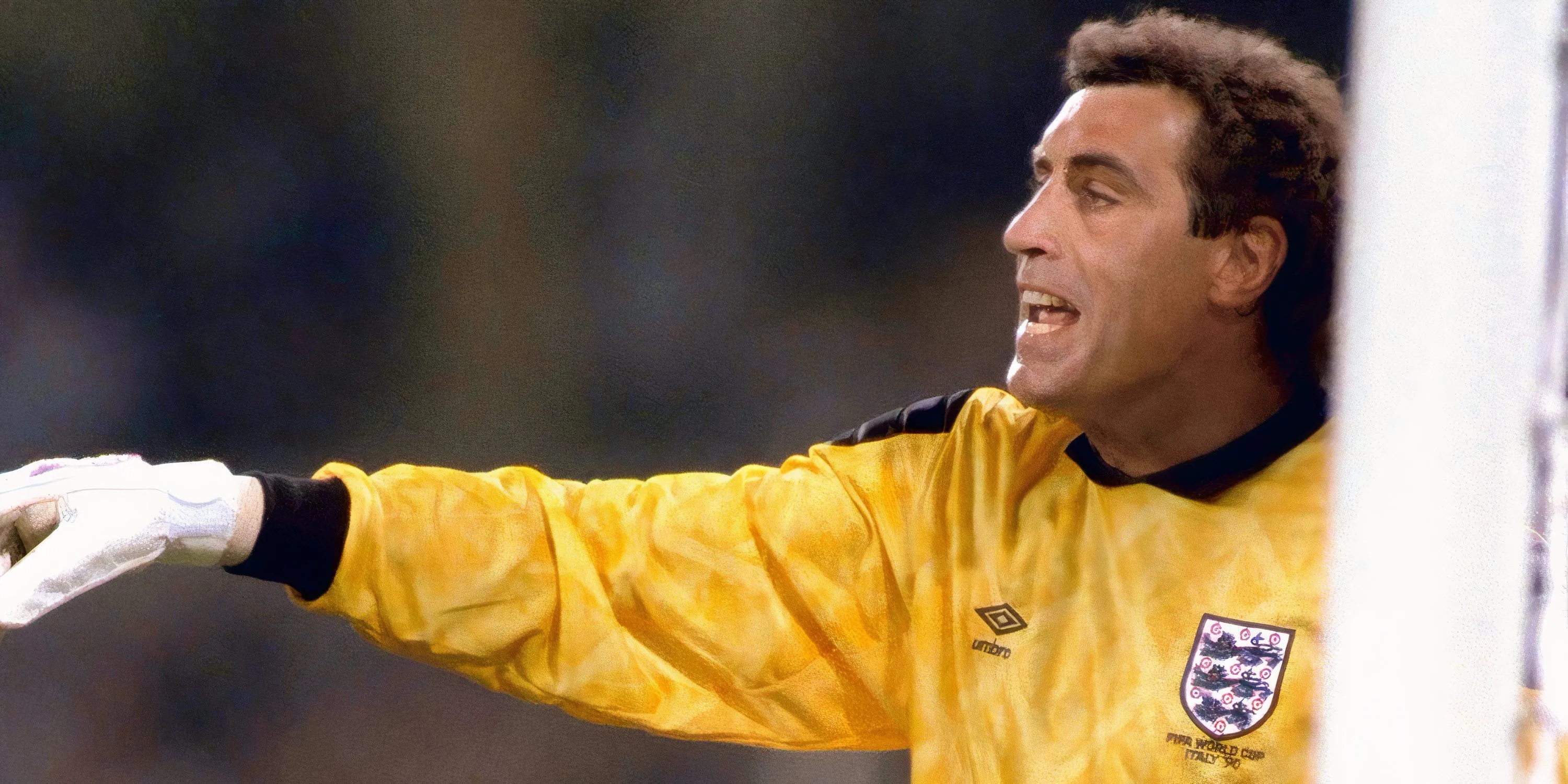 Thủ môn Peter Shilton, người nắm giữ kỷ lục ra sân chuyên nghiệp nhiều nhất